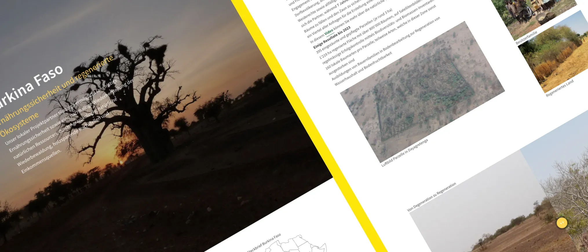 newTree — Trees for Life